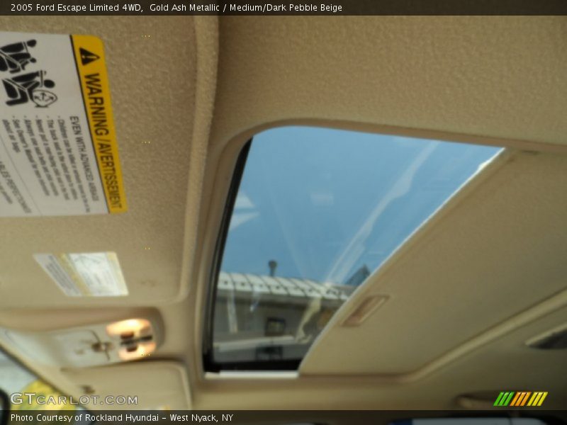 Gold Ash Metallic / Medium/Dark Pebble Beige 2005 Ford Escape Limited 4WD