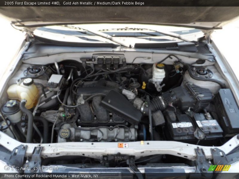 Gold Ash Metallic / Medium/Dark Pebble Beige 2005 Ford Escape Limited 4WD