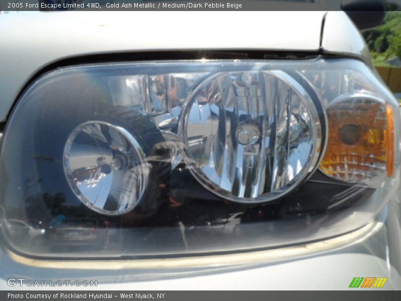 Gold Ash Metallic / Medium/Dark Pebble Beige 2005 Ford Escape Limited 4WD