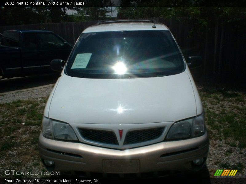 Arctic White / Taupe 2002 Pontiac Montana