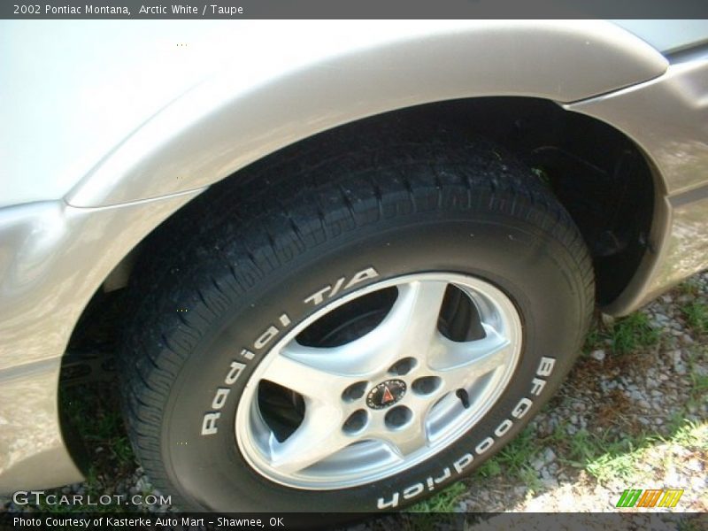 Arctic White / Taupe 2002 Pontiac Montana