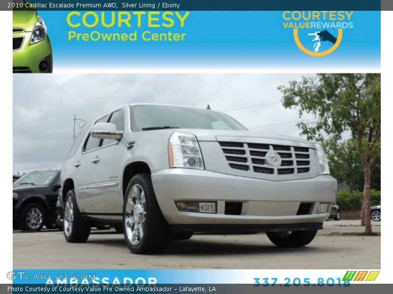 Silver Lining / Ebony 2010 Cadillac Escalade Premium AWD