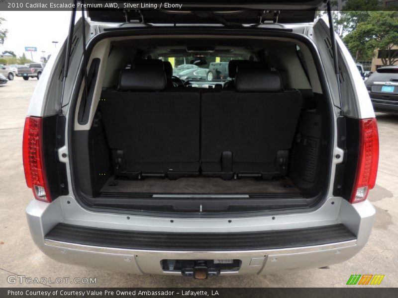 Silver Lining / Ebony 2010 Cadillac Escalade Premium AWD