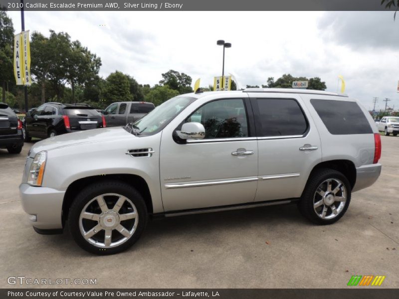 Silver Lining / Ebony 2010 Cadillac Escalade Premium AWD