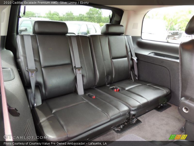 Silver Lining / Ebony 2010 Cadillac Escalade Premium AWD