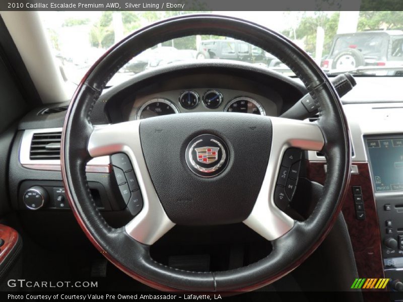 Silver Lining / Ebony 2010 Cadillac Escalade Premium AWD