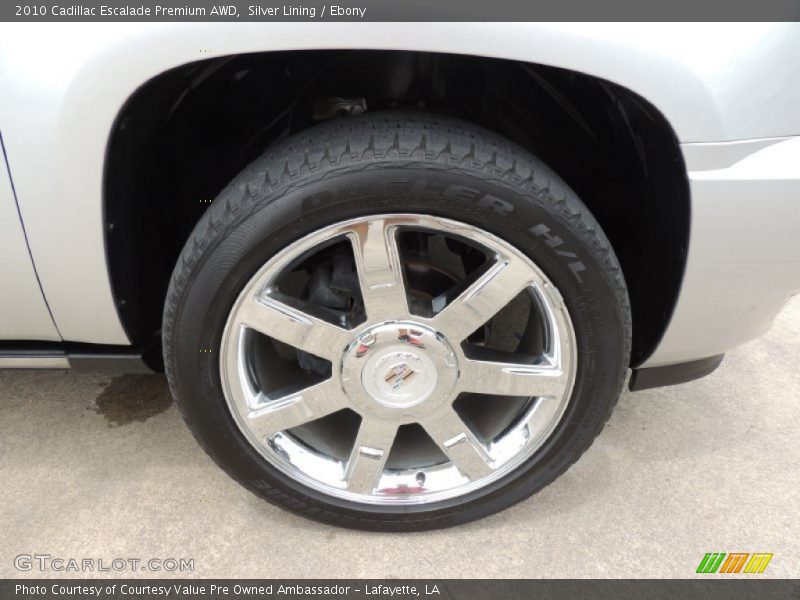Silver Lining / Ebony 2010 Cadillac Escalade Premium AWD