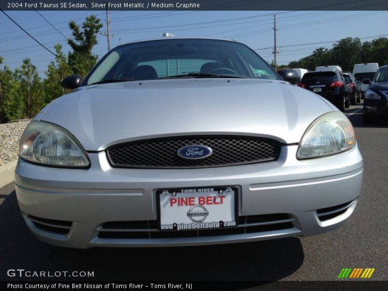 Silver Frost Metallic / Medium Graphite 2004 Ford Taurus SE Sedan