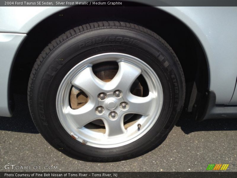 Silver Frost Metallic / Medium Graphite 2004 Ford Taurus SE Sedan
