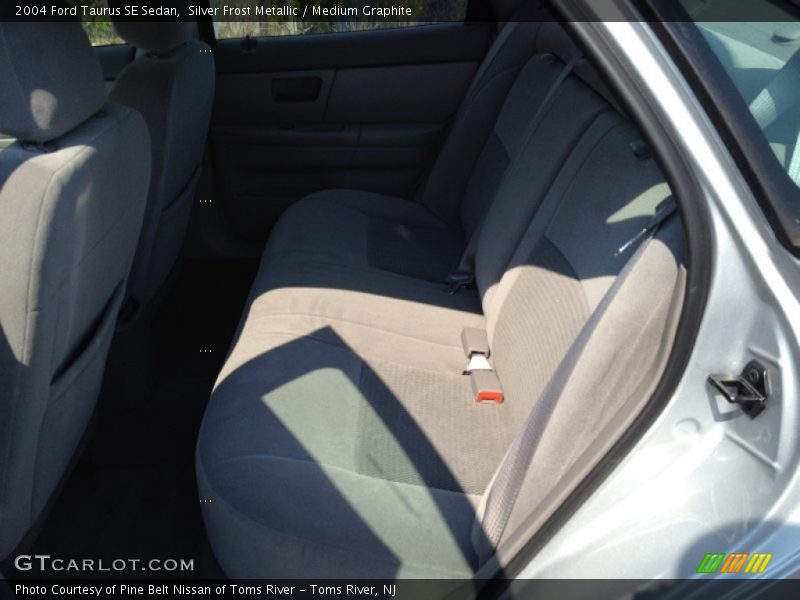Silver Frost Metallic / Medium Graphite 2004 Ford Taurus SE Sedan