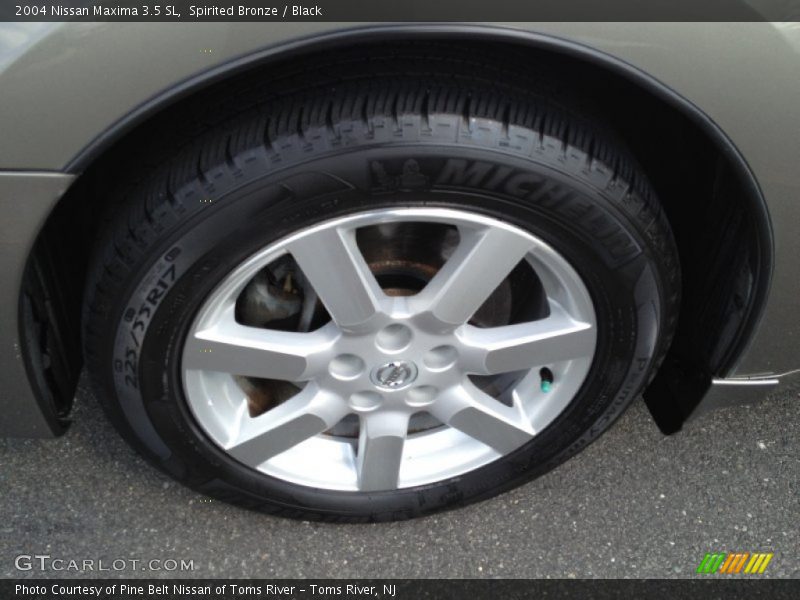 Spirited Bronze / Black 2004 Nissan Maxima 3.5 SL