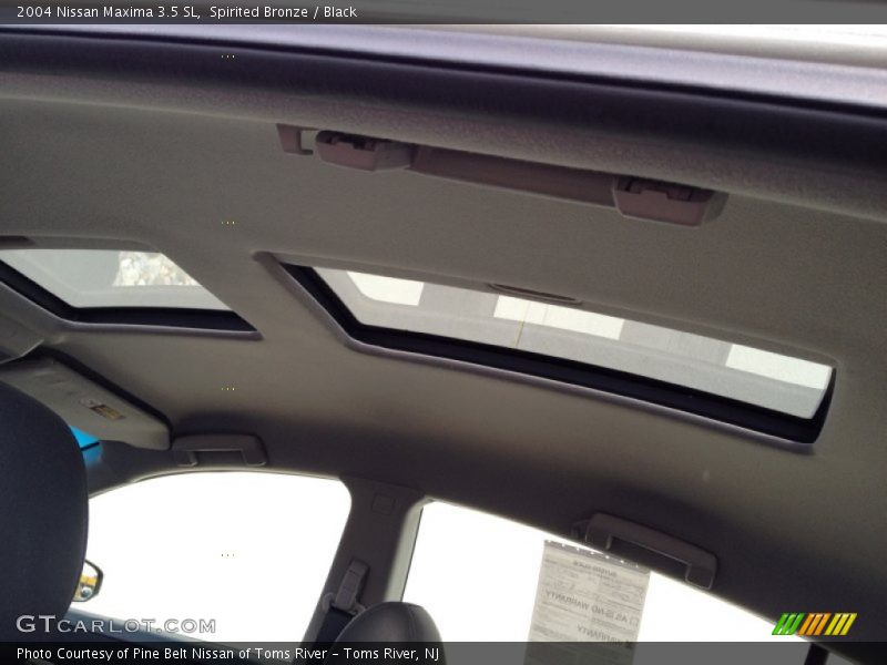 Spirited Bronze / Black 2004 Nissan Maxima 3.5 SL