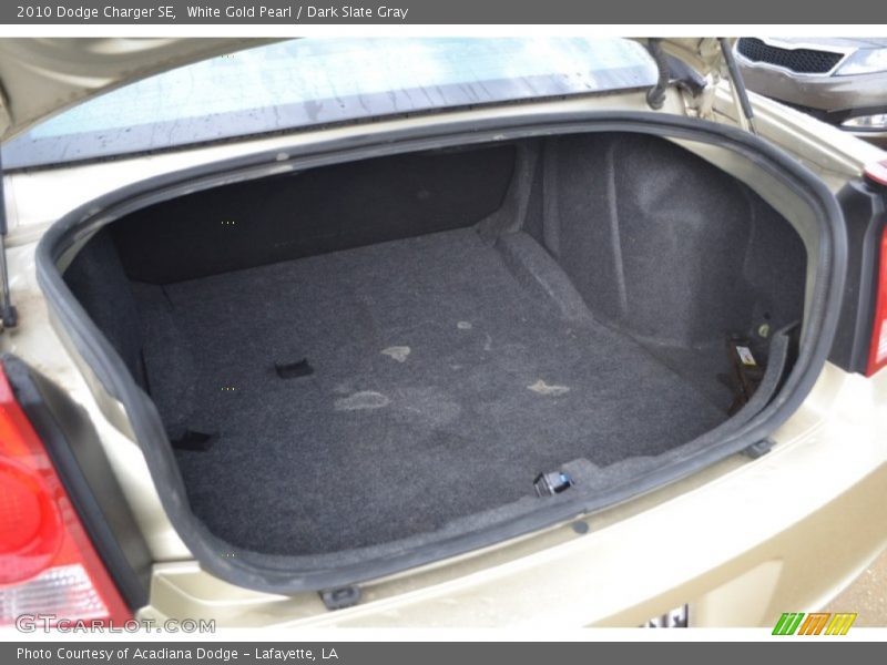 White Gold Pearl / Dark Slate Gray 2010 Dodge Charger SE