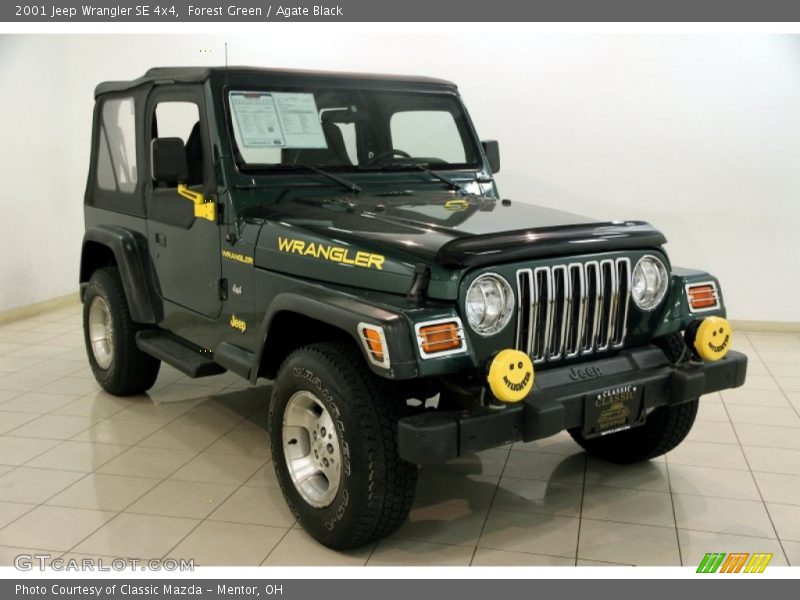Forest Green / Agate Black 2001 Jeep Wrangler SE 4x4