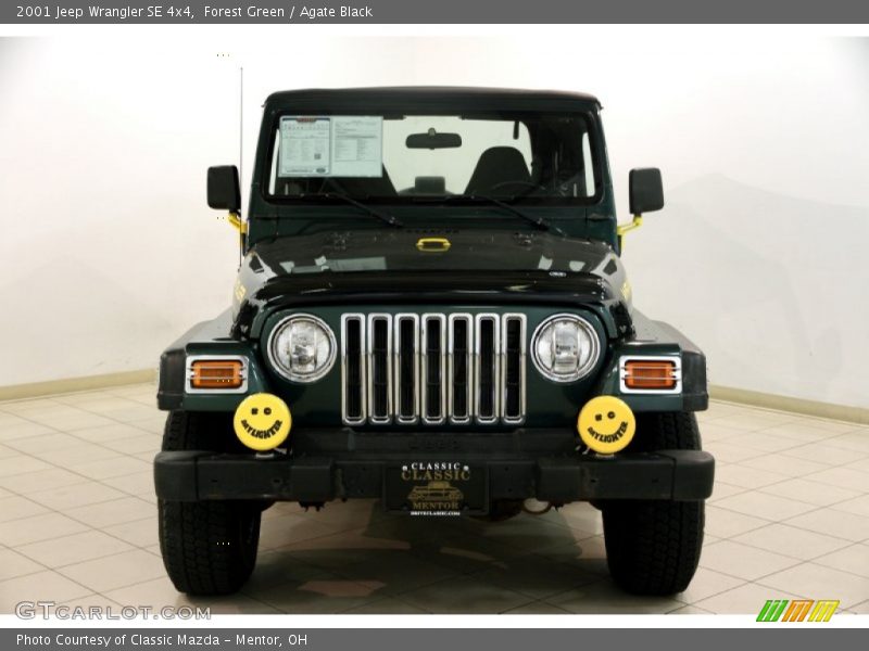 Forest Green / Agate Black 2001 Jeep Wrangler SE 4x4