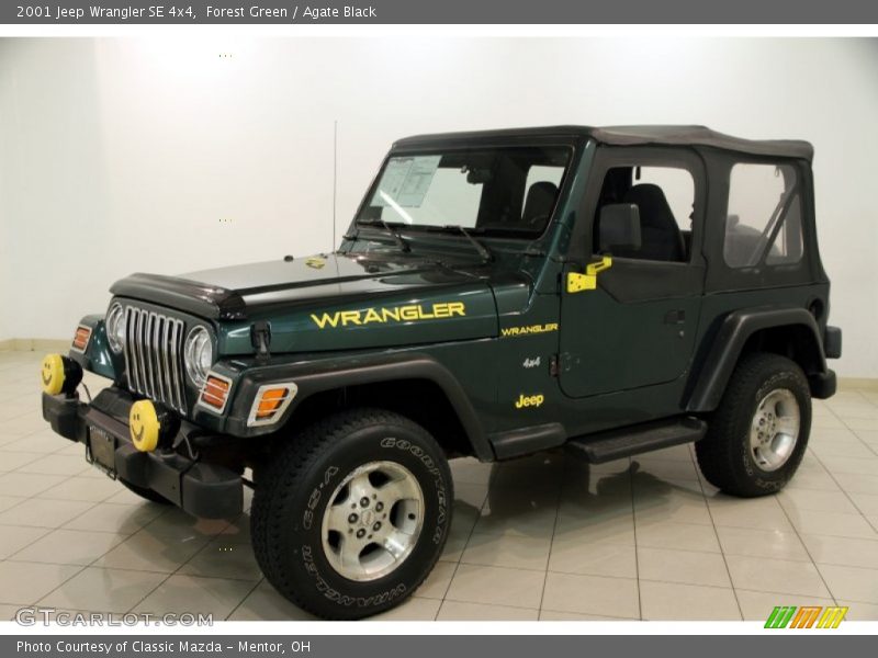 Forest Green / Agate Black 2001 Jeep Wrangler SE 4x4