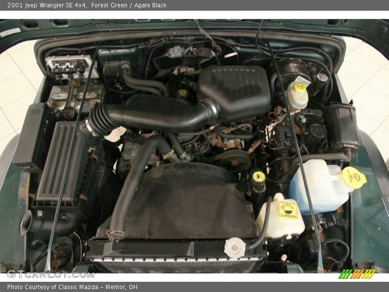 Forest Green / Agate Black 2001 Jeep Wrangler SE 4x4