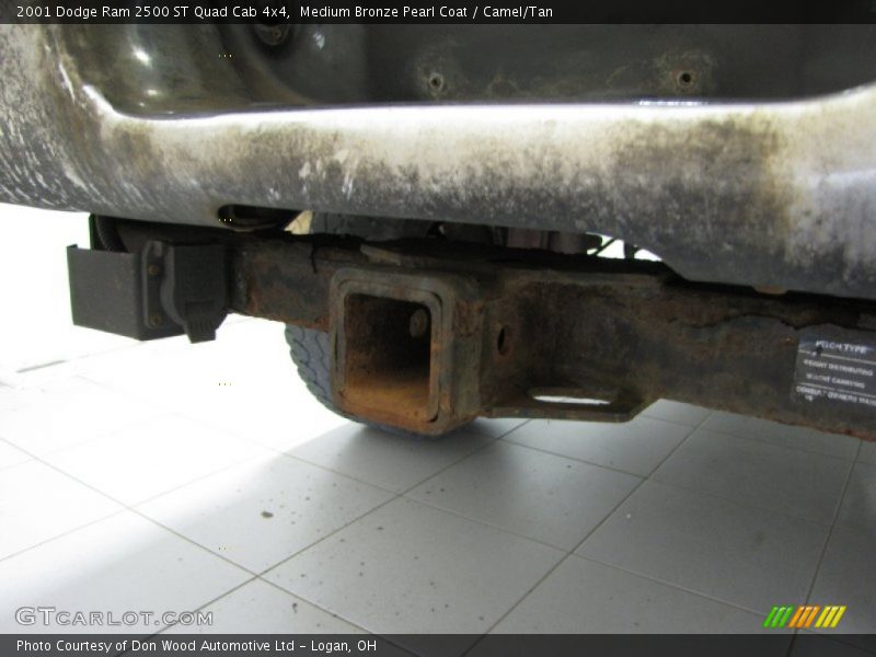 Medium Bronze Pearl Coat / Camel/Tan 2001 Dodge Ram 2500 ST Quad Cab 4x4