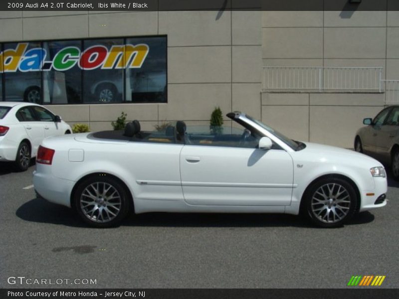 Ibis White / Black 2009 Audi A4 2.0T Cabriolet