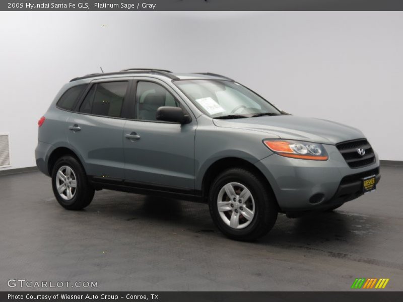 Platinum Sage / Gray 2009 Hyundai Santa Fe GLS