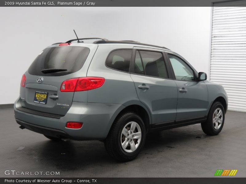 Platinum Sage / Gray 2009 Hyundai Santa Fe GLS