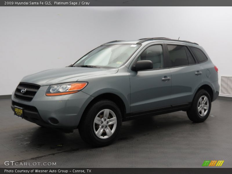 Platinum Sage / Gray 2009 Hyundai Santa Fe GLS