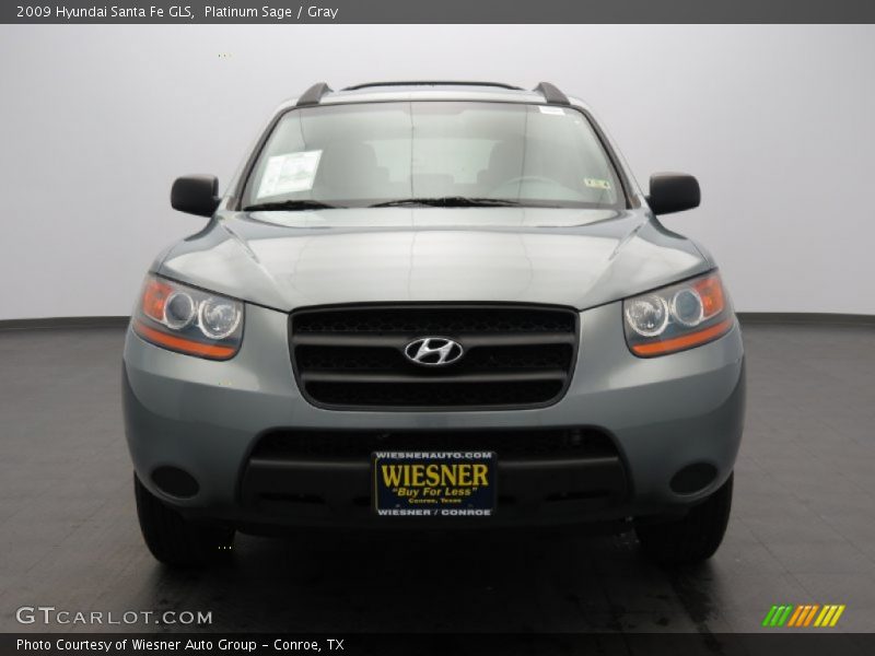 Platinum Sage / Gray 2009 Hyundai Santa Fe GLS