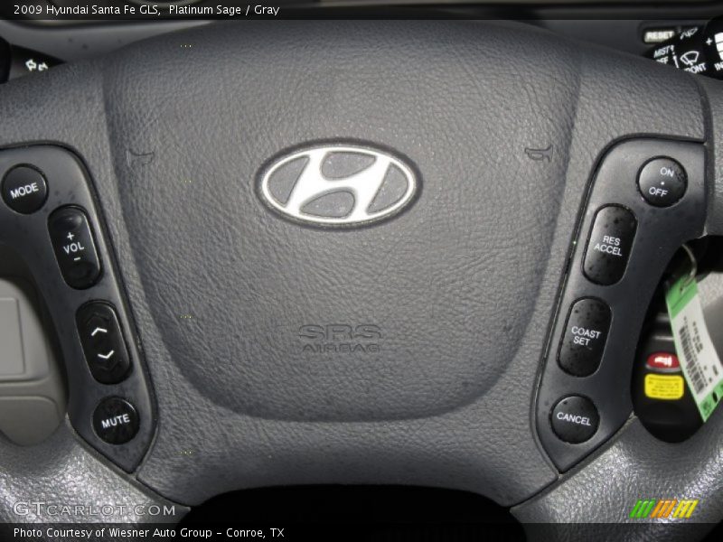 Platinum Sage / Gray 2009 Hyundai Santa Fe GLS