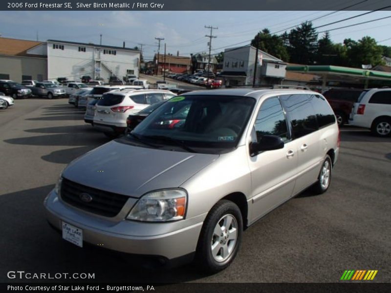 Silver Birch Metallic / Flint Grey 2006 Ford Freestar SE