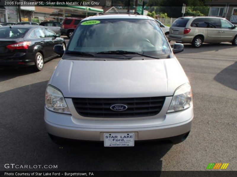 Silver Birch Metallic / Flint Grey 2006 Ford Freestar SE