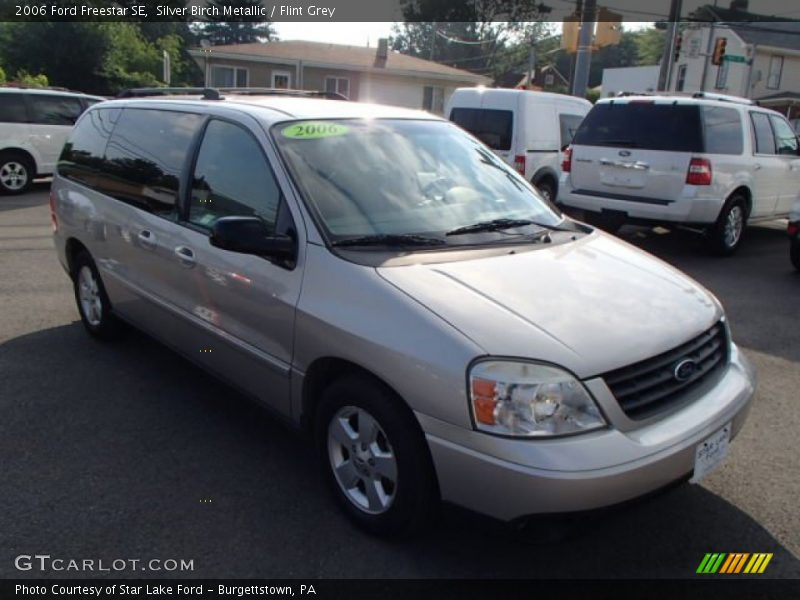 Silver Birch Metallic / Flint Grey 2006 Ford Freestar SE