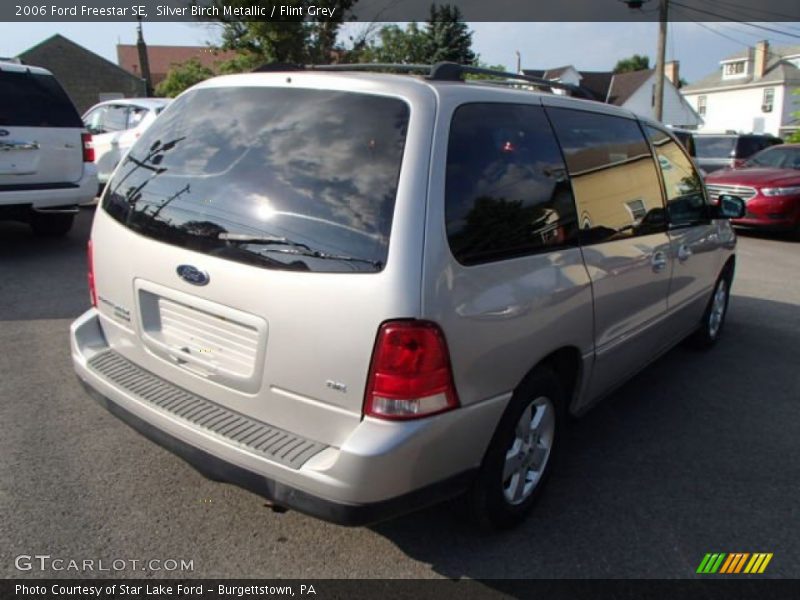 Silver Birch Metallic / Flint Grey 2006 Ford Freestar SE