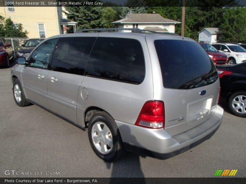 Silver Birch Metallic / Flint Grey 2006 Ford Freestar SE