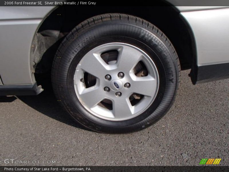 Silver Birch Metallic / Flint Grey 2006 Ford Freestar SE
