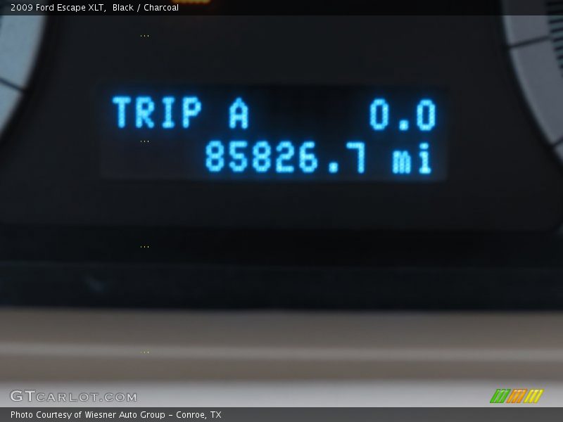 Black / Charcoal 2009 Ford Escape XLT