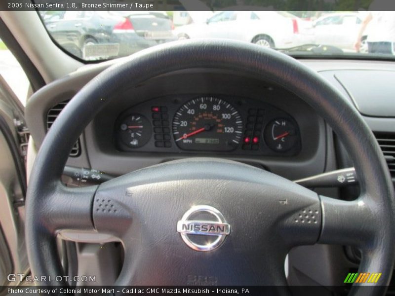 Bronze Shimmer / Taupe 2005 Nissan Sentra 1.8