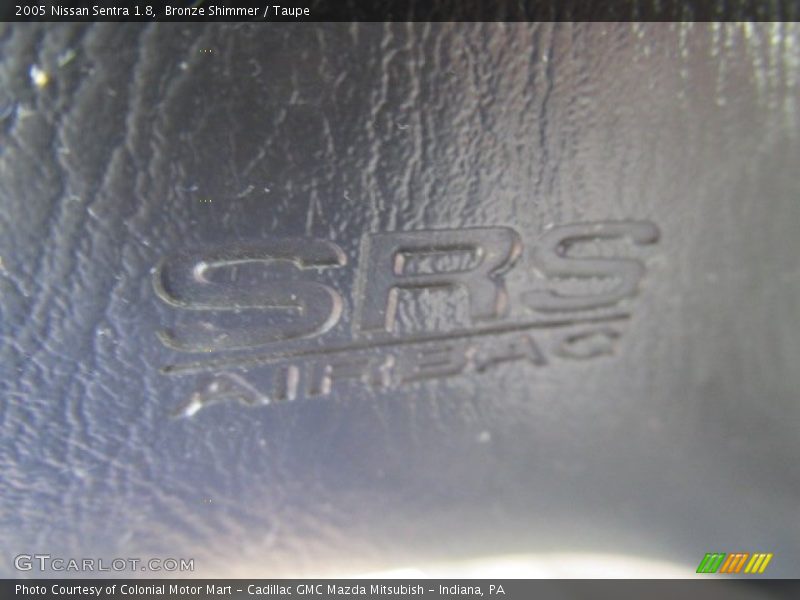 Bronze Shimmer / Taupe 2005 Nissan Sentra 1.8