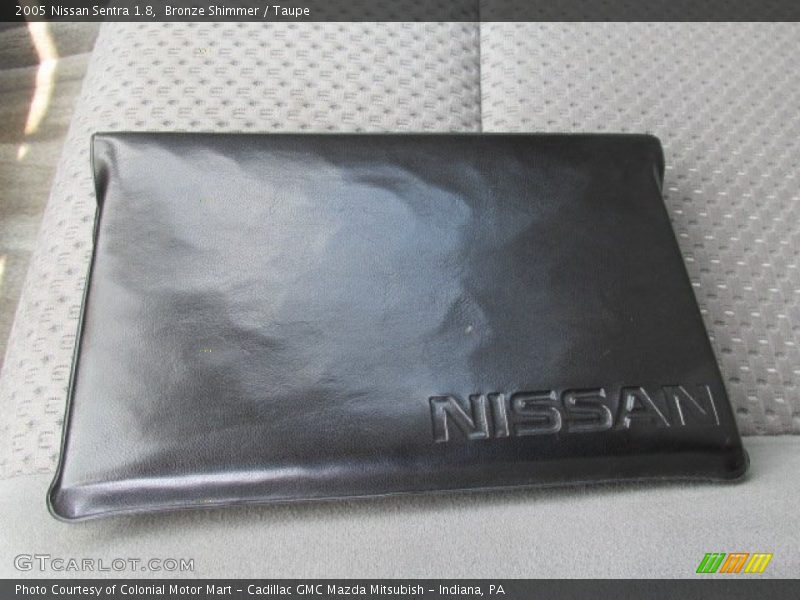 Bronze Shimmer / Taupe 2005 Nissan Sentra 1.8