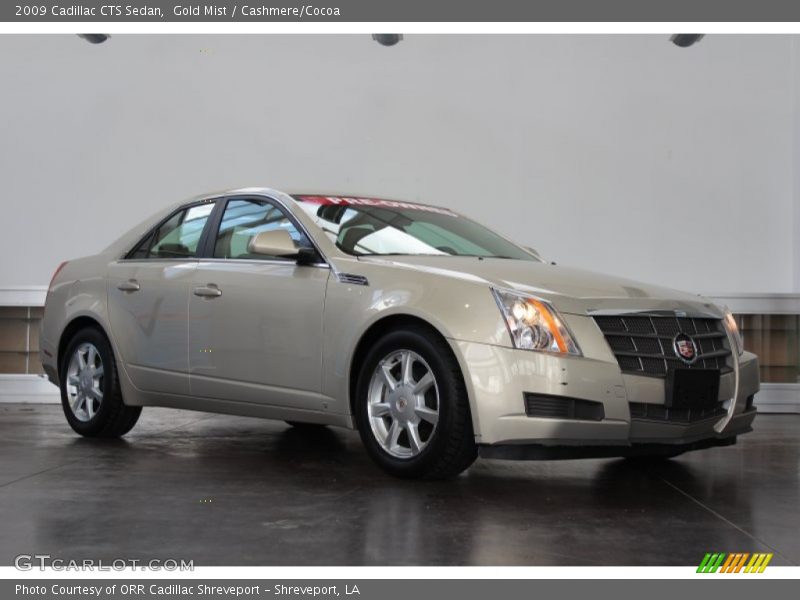 Gold Mist / Cashmere/Cocoa 2009 Cadillac CTS Sedan