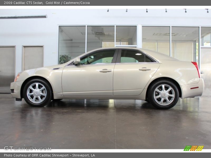 Gold Mist / Cashmere/Cocoa 2009 Cadillac CTS Sedan