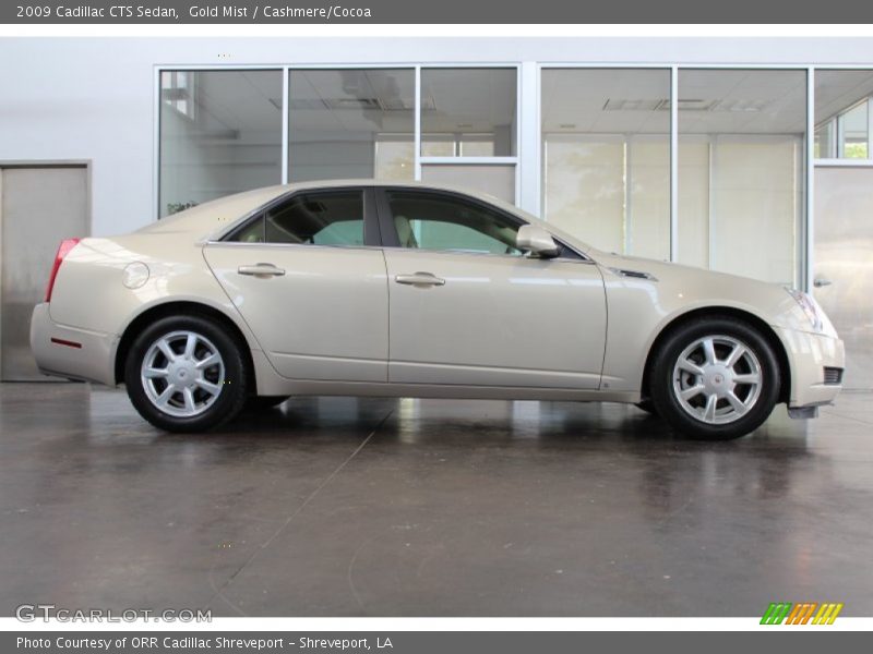 Gold Mist / Cashmere/Cocoa 2009 Cadillac CTS Sedan