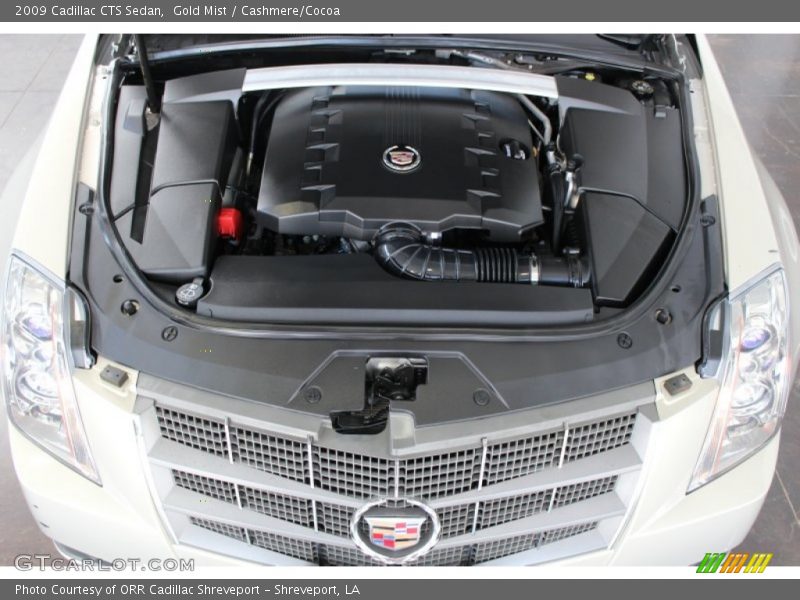 Gold Mist / Cashmere/Cocoa 2009 Cadillac CTS Sedan