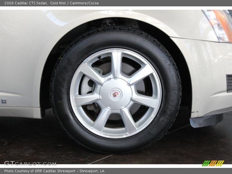 Gold Mist / Cashmere/Cocoa 2009 Cadillac CTS Sedan