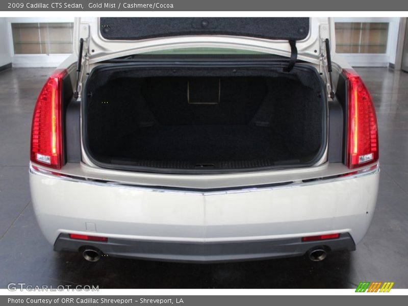 Gold Mist / Cashmere/Cocoa 2009 Cadillac CTS Sedan