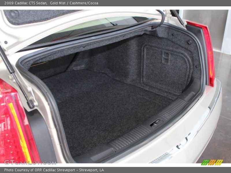 Gold Mist / Cashmere/Cocoa 2009 Cadillac CTS Sedan