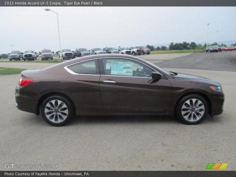 Tiger Eye Pearl / Black 2013 Honda Accord LX-S Coupe