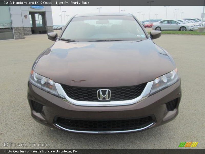  2013 Accord LX-S Coupe Tiger Eye Pearl