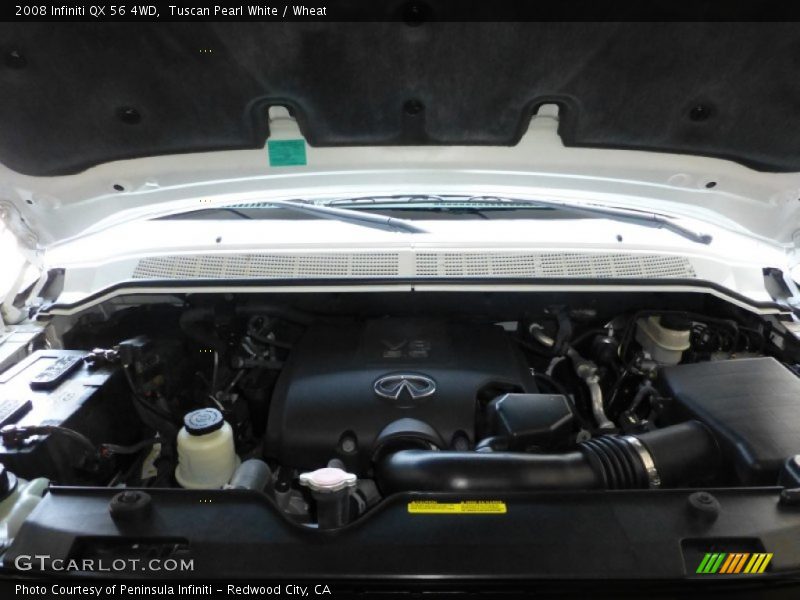 Tuscan Pearl White / Wheat 2008 Infiniti QX 56 4WD