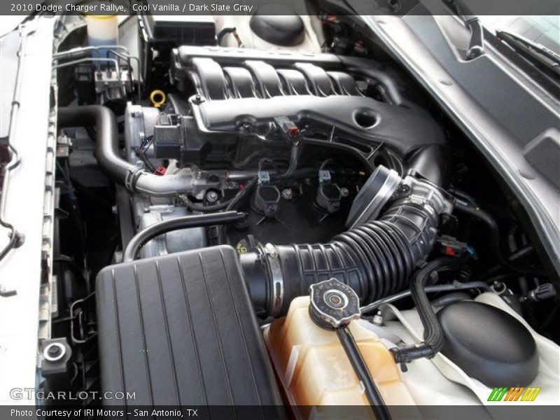 Cool Vanilla / Dark Slate Gray 2010 Dodge Charger Rallye