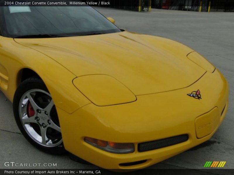 Millenium Yellow / Black 2004 Chevrolet Corvette Convertible